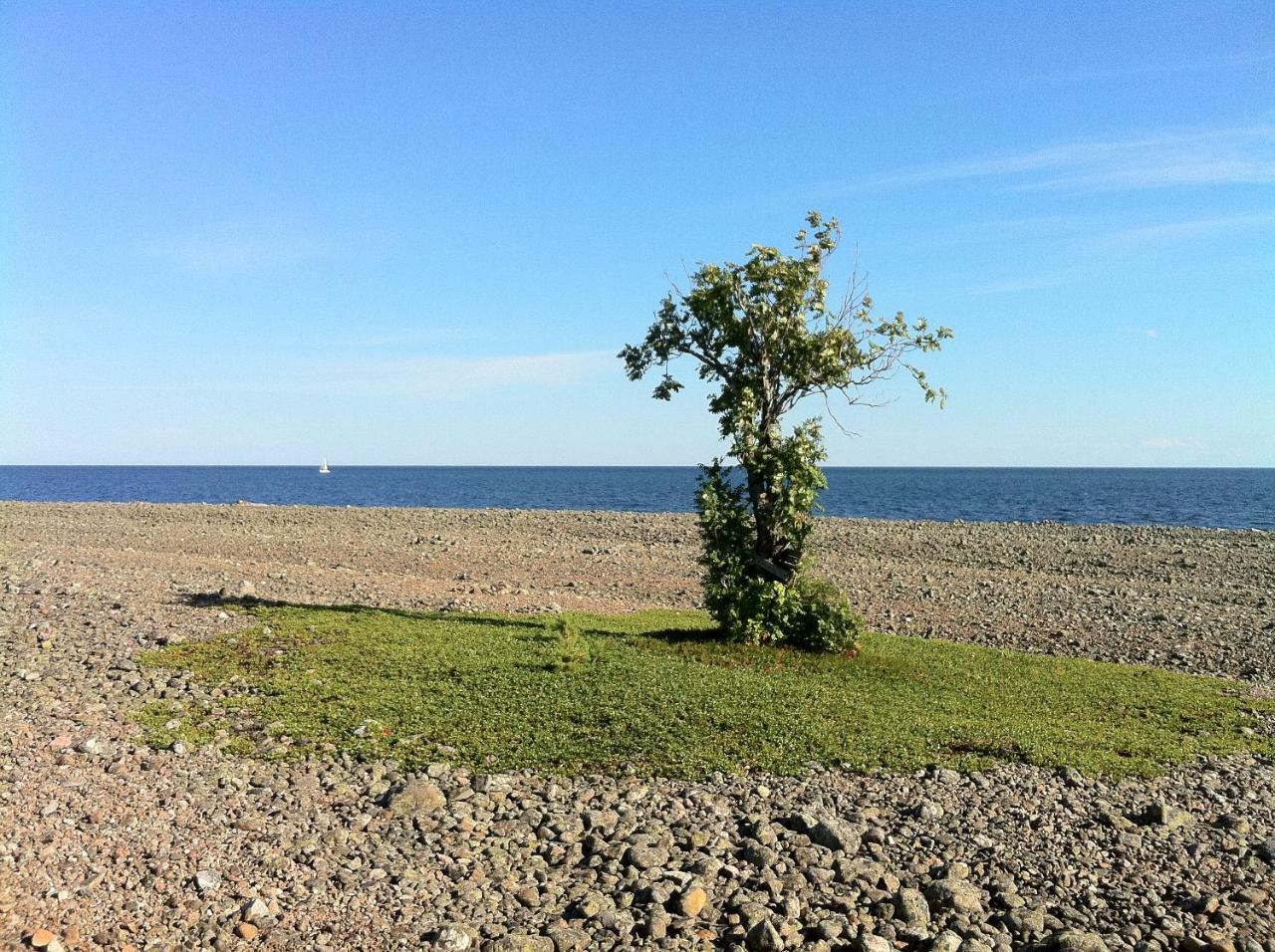 Hoelick Havsresort & Spa Hudiksvall Zewnętrze zdjęcie
